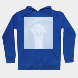 Ghostly alpaca and mandala in serenity blue Hoodie